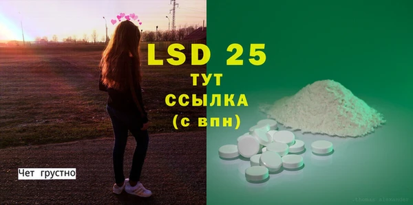 ECSTASY Бородино