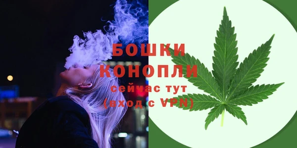 a pvp Пересвет
