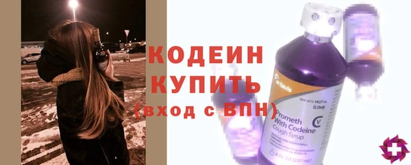 a pvp Пересвет