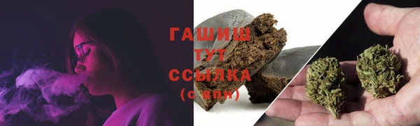 a pvp Пересвет