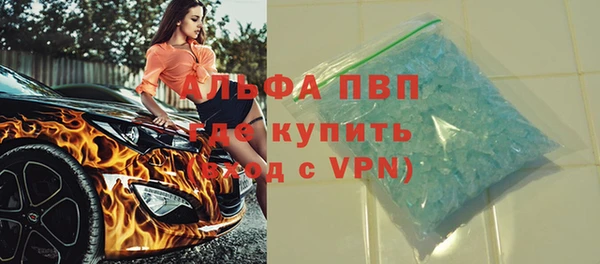 a pvp Пересвет