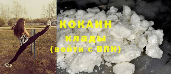 дмт Пестово