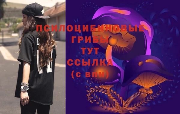 a pvp Пересвет