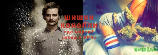 a pvp Пересвет
