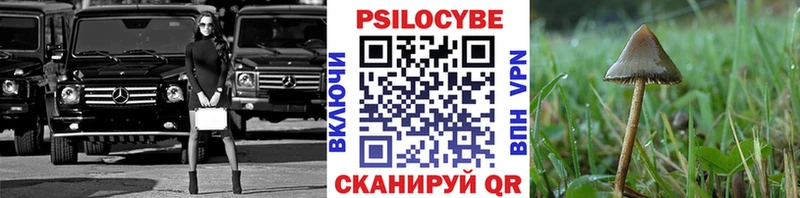 Псилоцибиновые грибы ЛСД дарнет шоп Хотьково